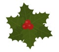 Red berries Christmas decorations vector illustration Royalty Free Stock Photo